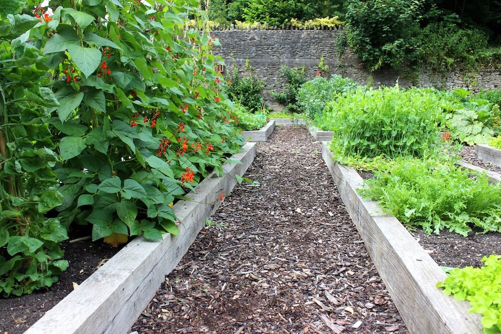 Planiranje i izgradnja izdignutih leja